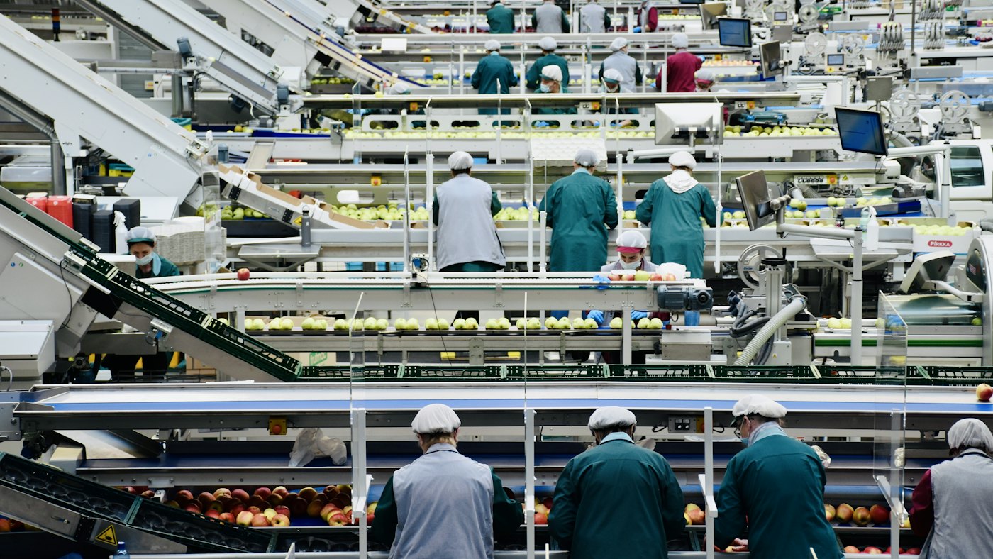 FSSC 22000 gıda güvenliği: gıda fabrikasında üretim hattı